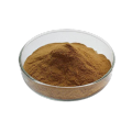 Food Antioxidant natural antioxidant rosemary extract Manufactory